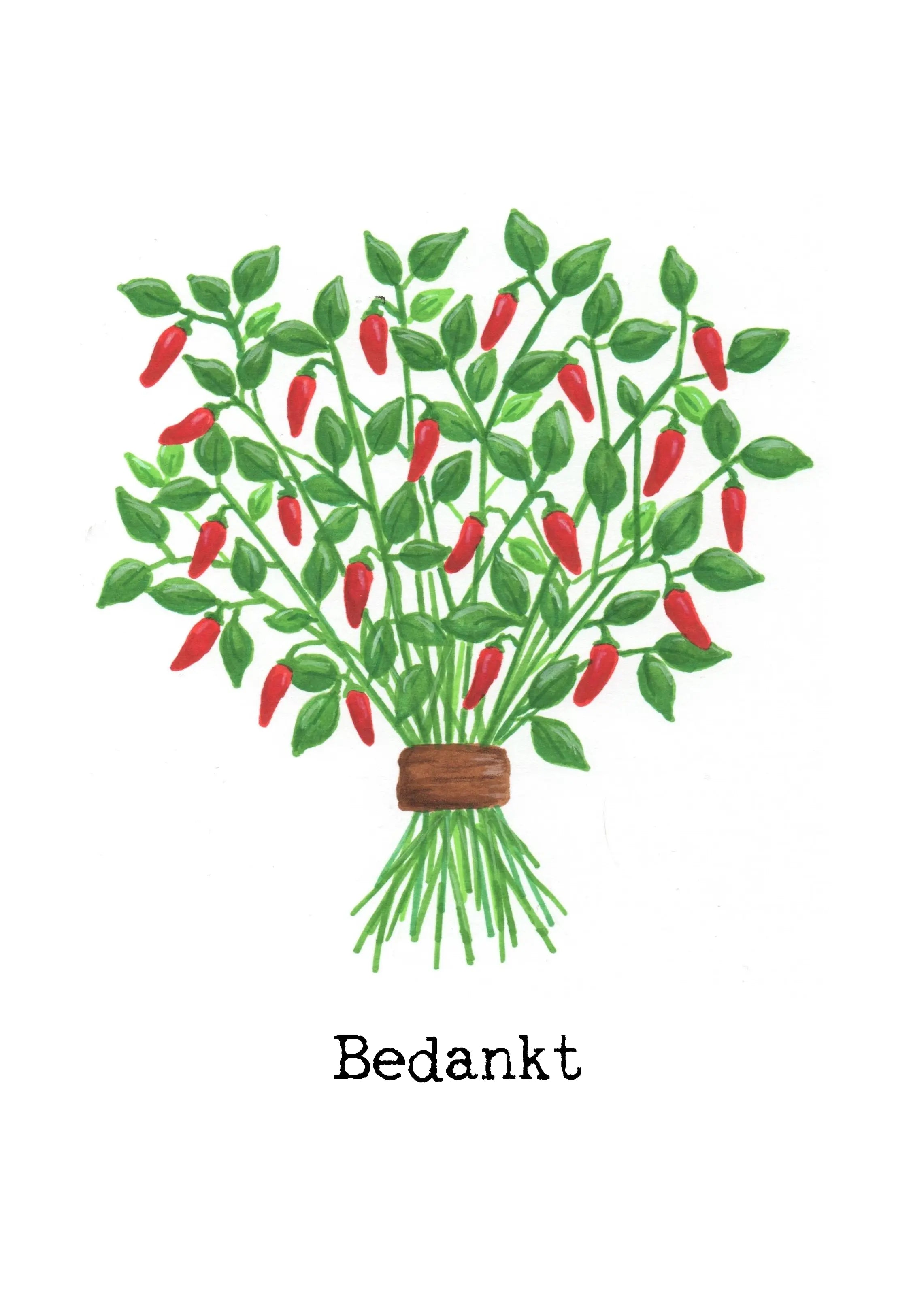 Maak zelf je eigen cadeaupakket!