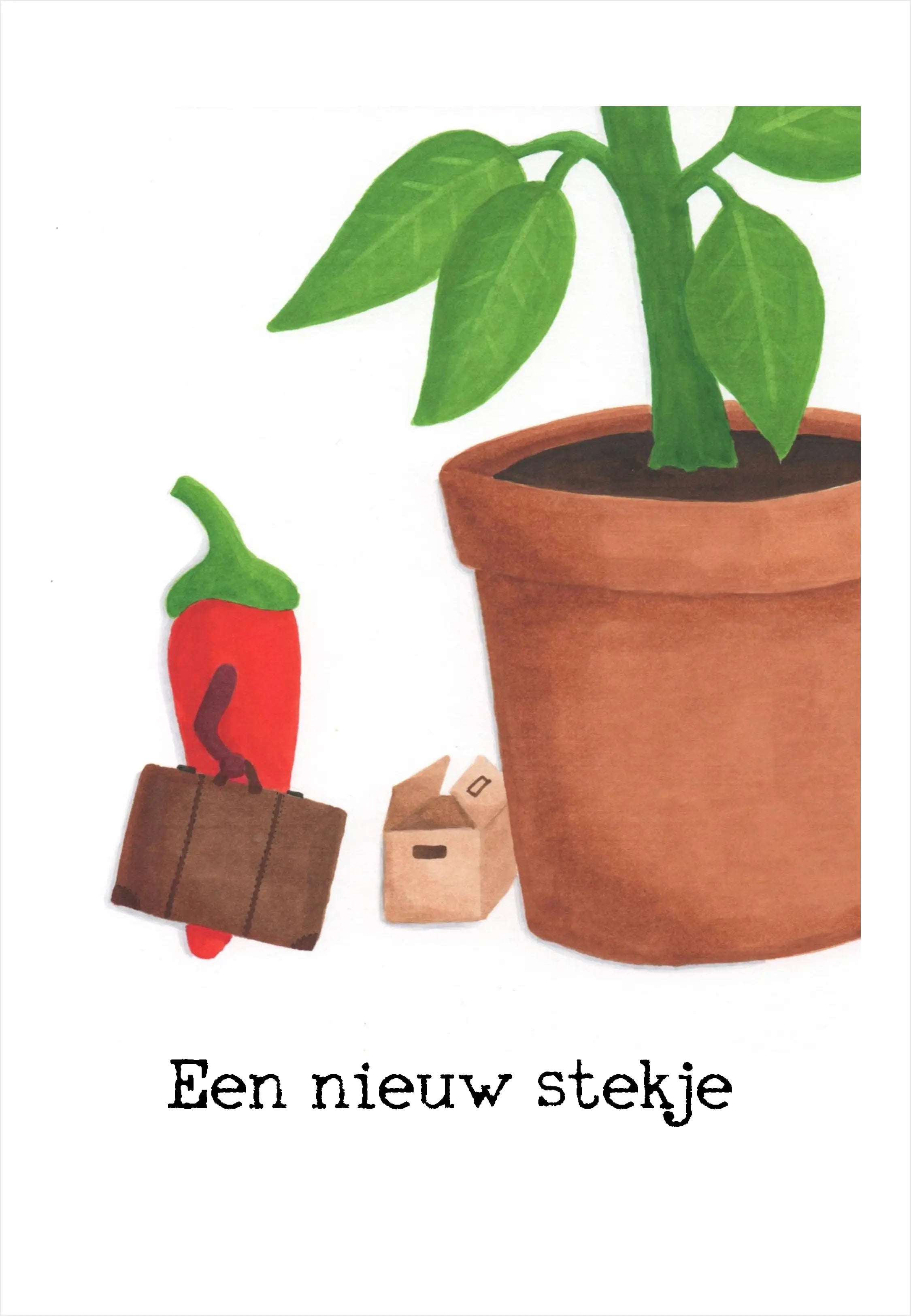 Maak zelf je eigen cadeaupakket!